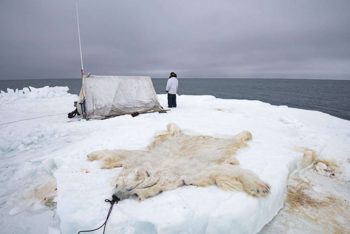 Fish Barrow Uic Alaska