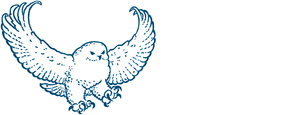 UIC Sanatu horizontal reversed logo-b
