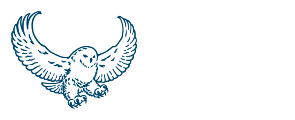 uic-logo-com-serv-hori-rev-c